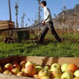 Agriculture bio Vétroz